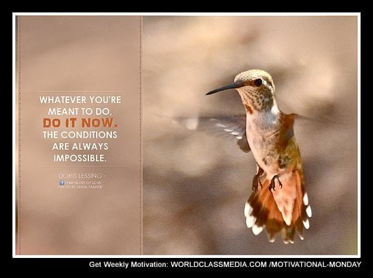 best 35 business quotes from the silver screen.jpg