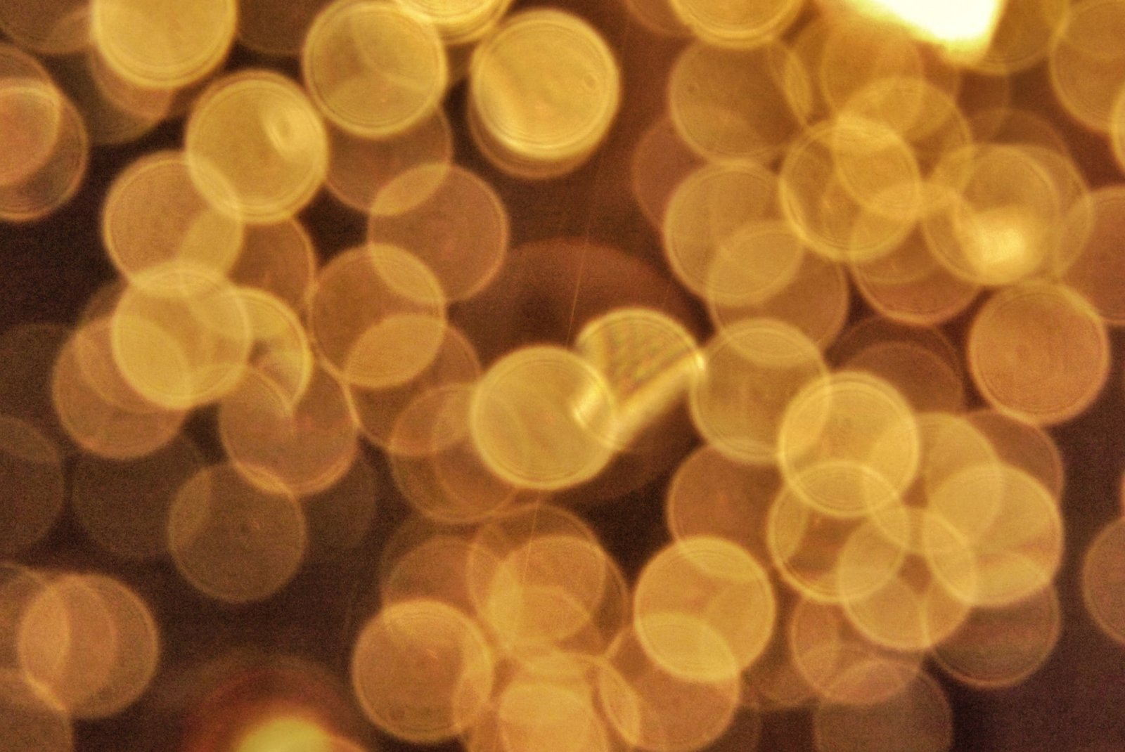 business quotes by donald trump1