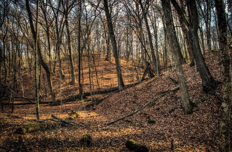 business quotes competition.jpg