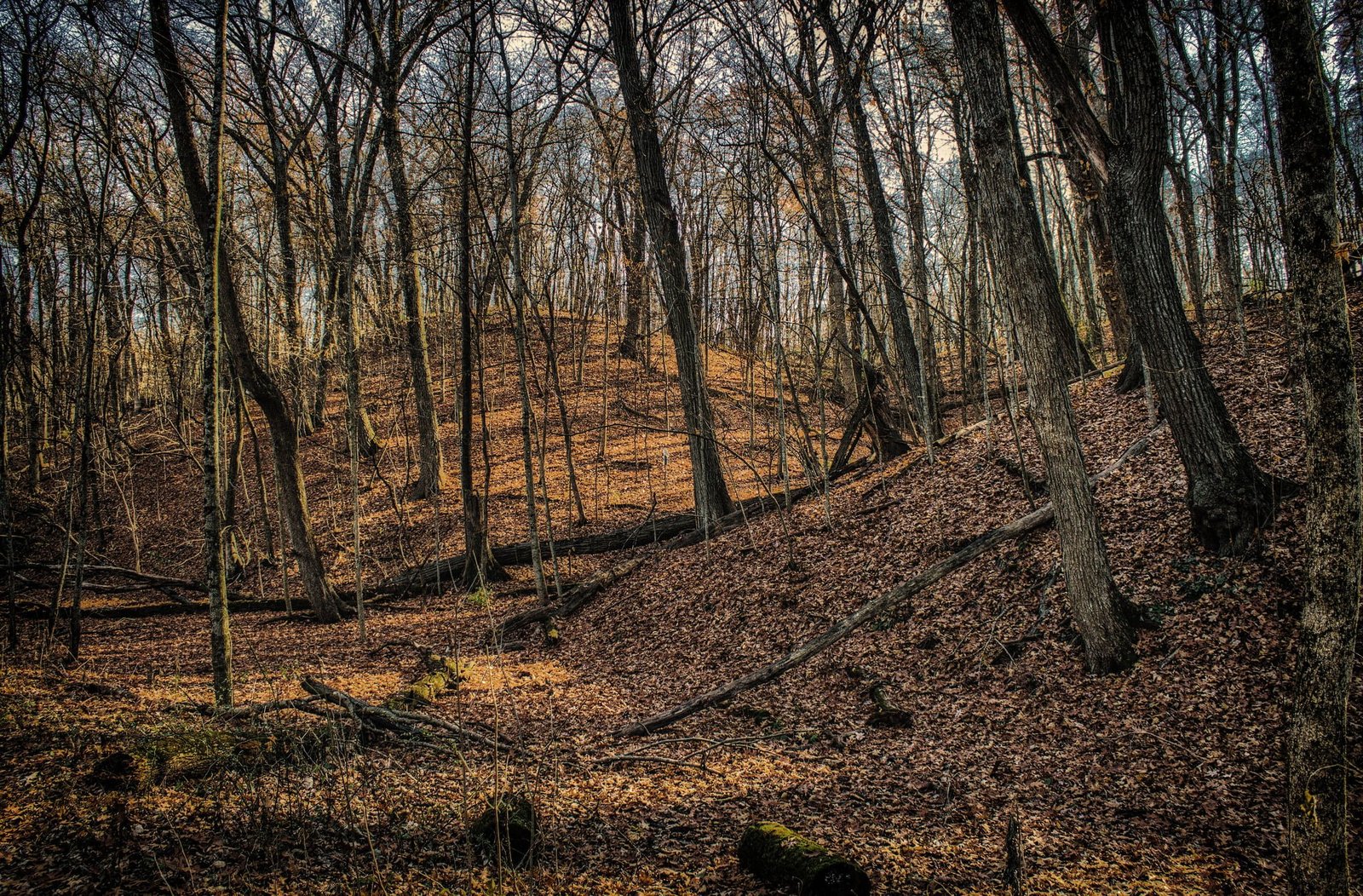 business quotes customers.jpg