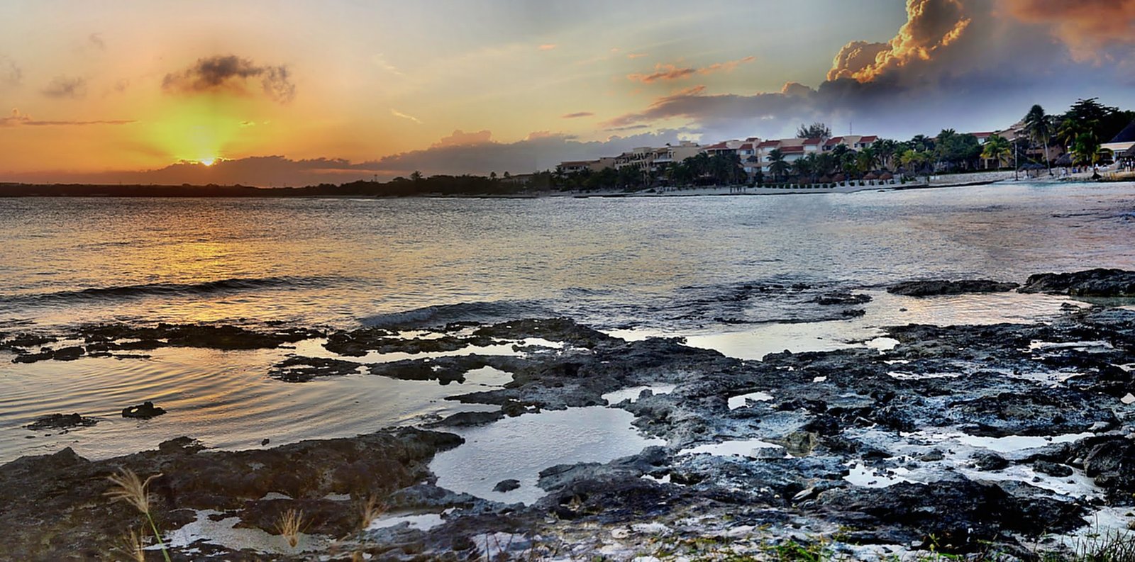 business quotes differentiation1