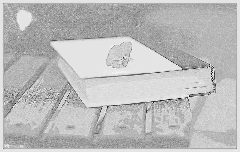 earn money online pay per click