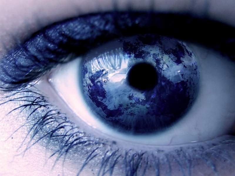 internet marketing scams