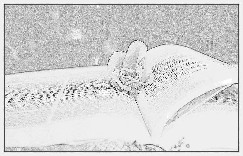 online social media training