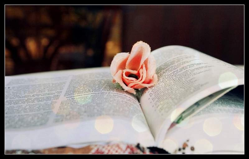 pay per click publisher programs