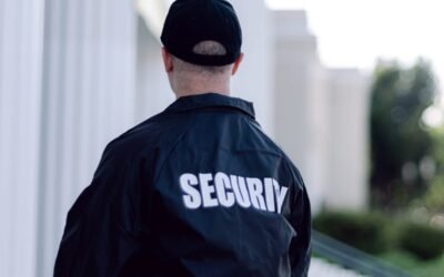 Expert CMMC Audit Preparation Consulting Services