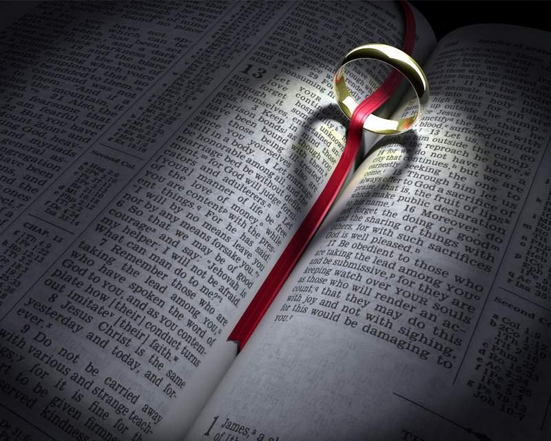 social business media