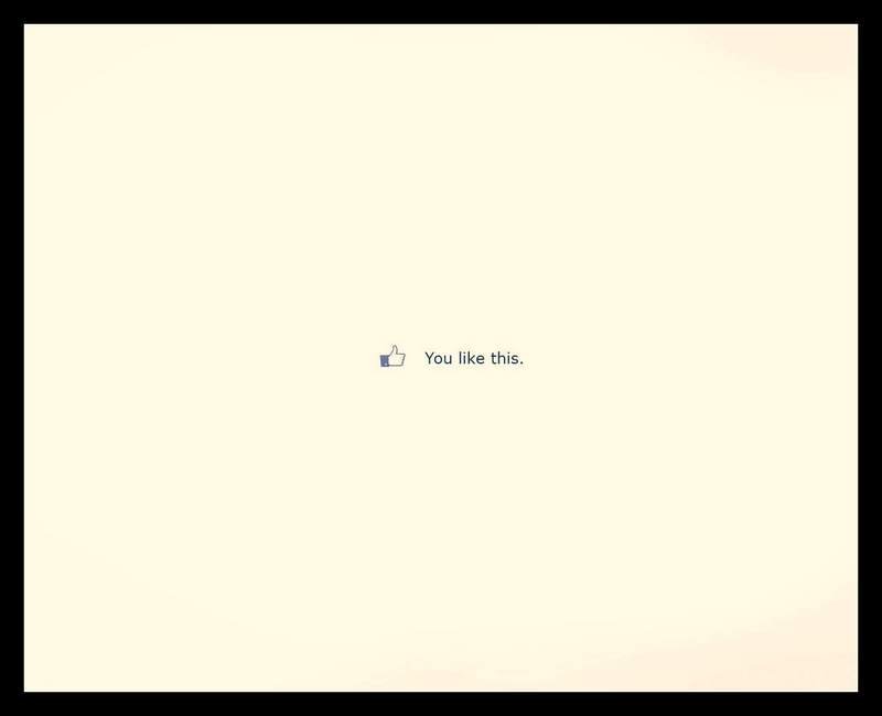 social media experts