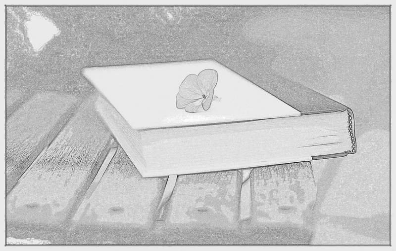 social media marketing for real estate