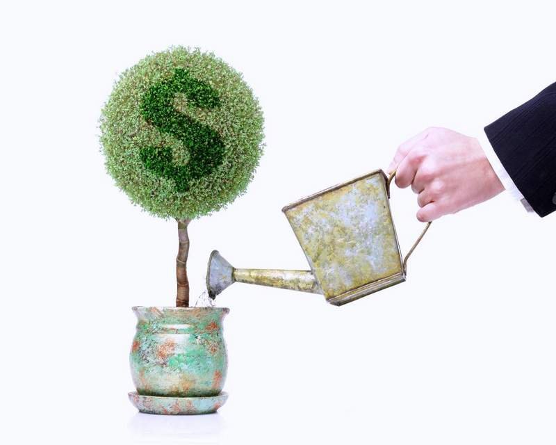 social networking websites