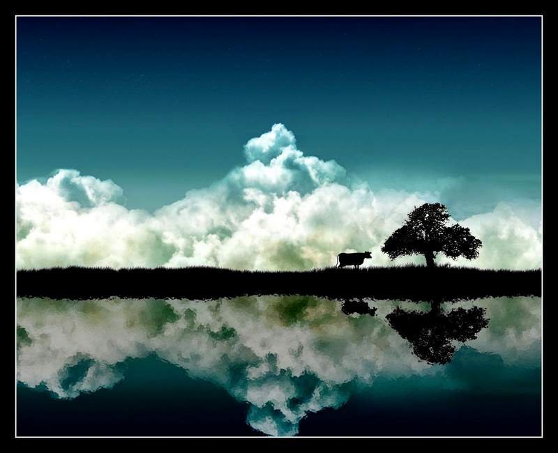 using social media for small business